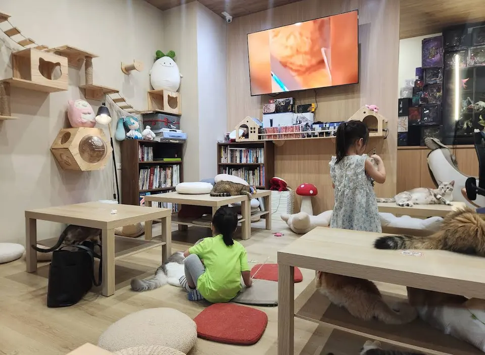 愛露貓咖啡館