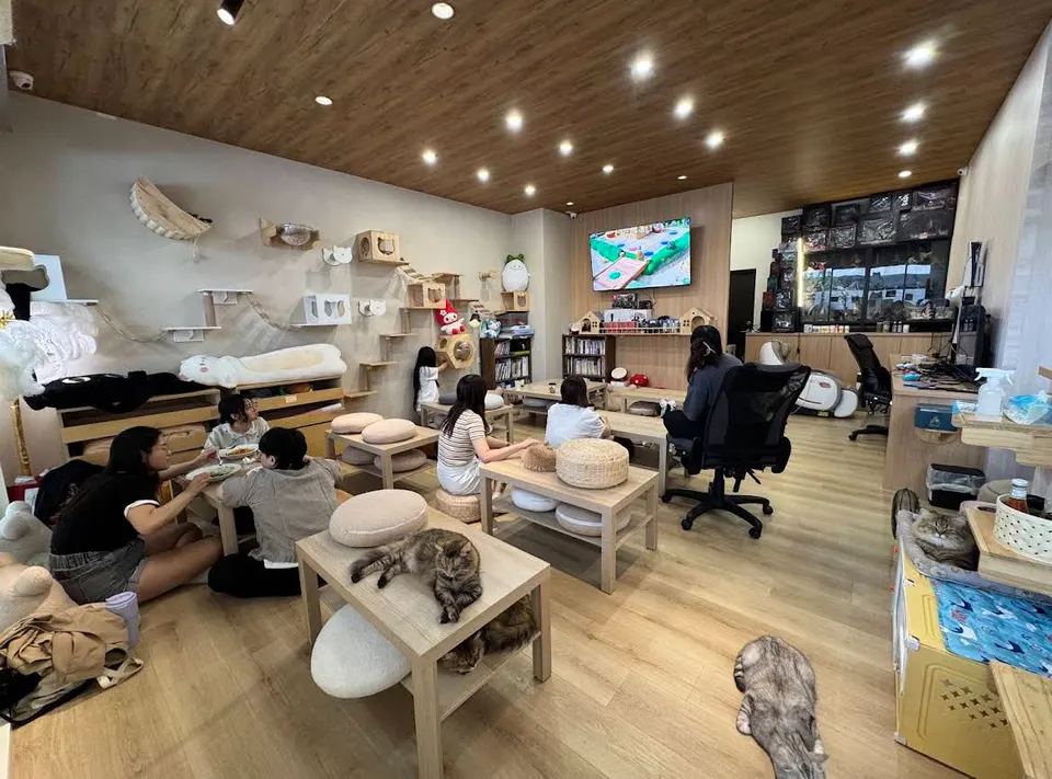 愛露貓咖啡館